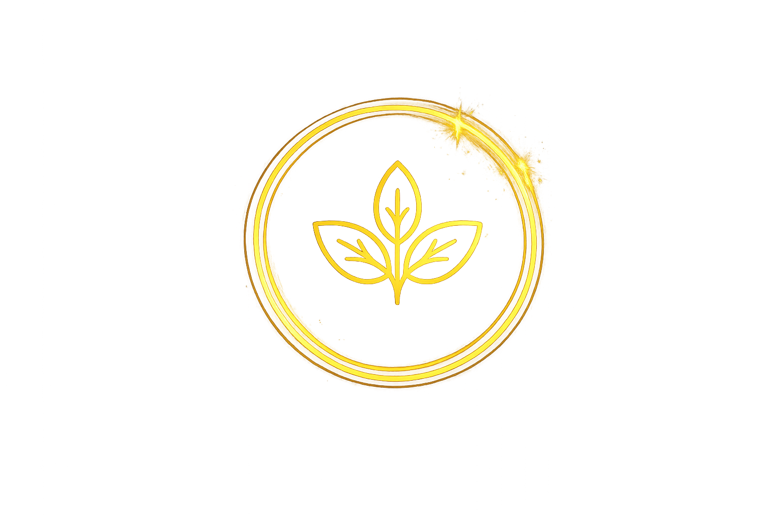Lifestyle Support Icon